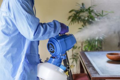Smoke Odor Removal Service — Cost of Smoke Odor Removal Service